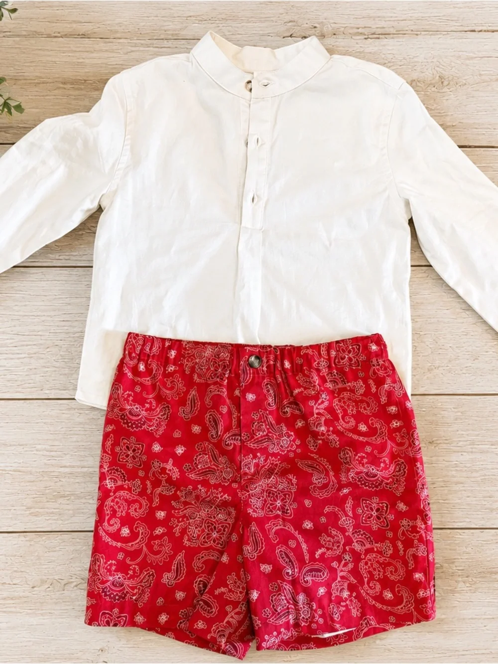 Edgehill Collection Cream Collar Blouse NWOT